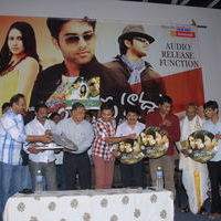 Akasame Haddu Audio Launch Pictures